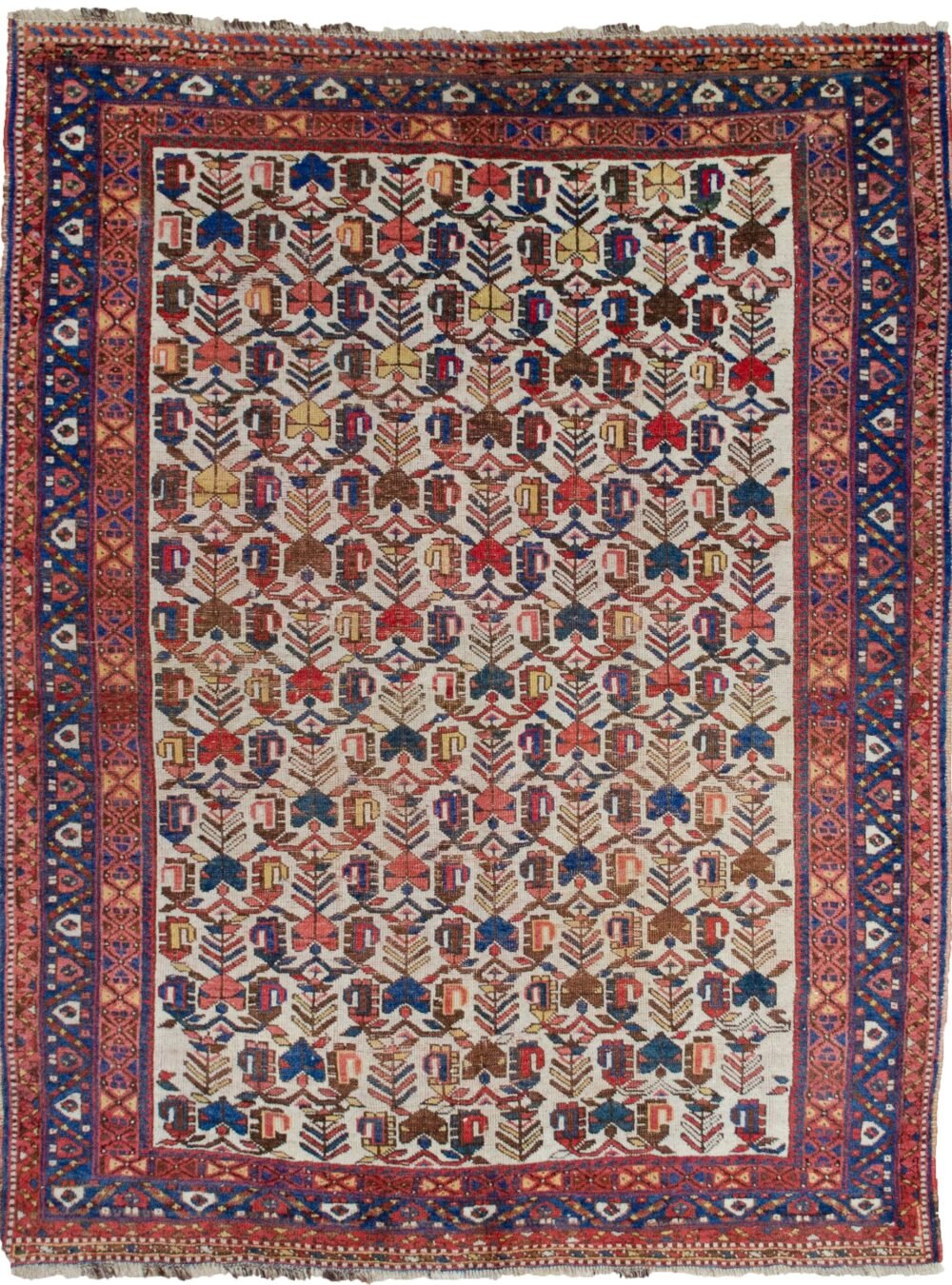 alt="Afshar rug with rare cream field and stylised paisley motifs" alt="Persian tribal rug with blue floral border and interconnected paisleys" alt="Southern Iranian Afshar rug with natural dyes and traditional design" alt="Collectible cream ground Afshar carpet with tribal symbolism"