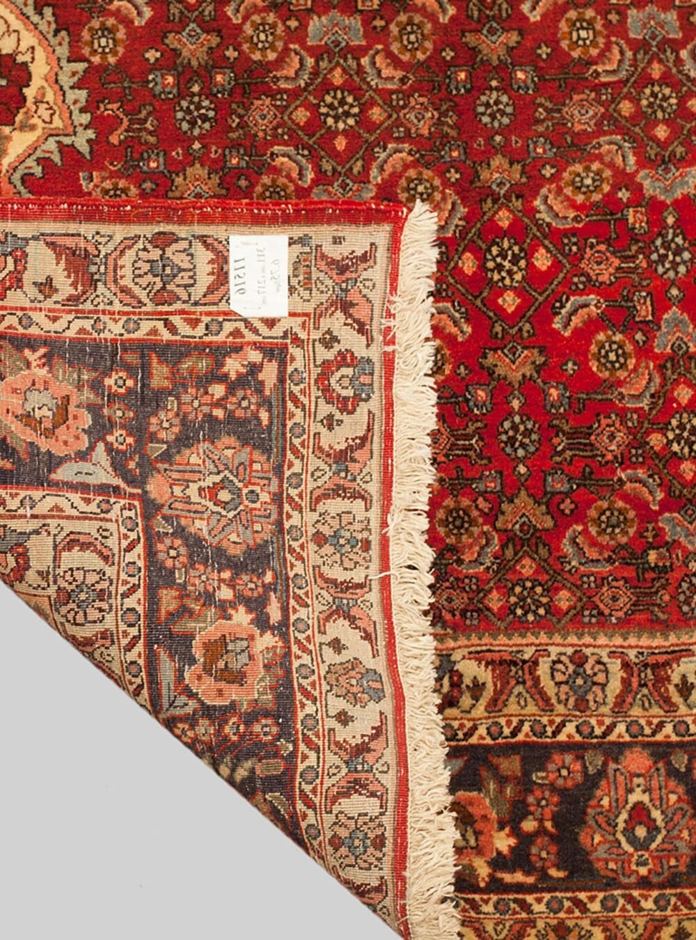 mehdi-11516-Back.jpg mehdi-11516-Back.jpg