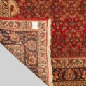 mehdi-11516-Back.jpg
