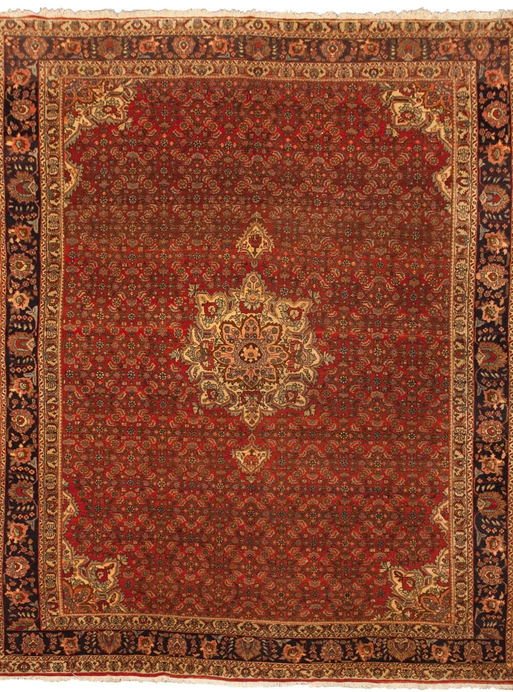 vintage-bijar-carpet-herati-design.jpg bijar-rug-with-blue-floral-border.jpg persian-bijar-carpet-herati-motif.jpg durable-high-density-persian-rug.jpg
