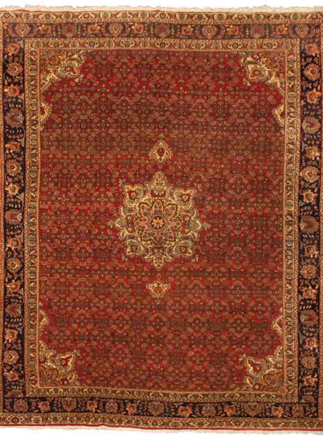 vintage-bijar-carpet-herati-design.jpg bijar-rug-with-blue-floral-border.jpg persian-bijar-carpet-herati-motif.jpg durable-high-density-persian-rug.jpg