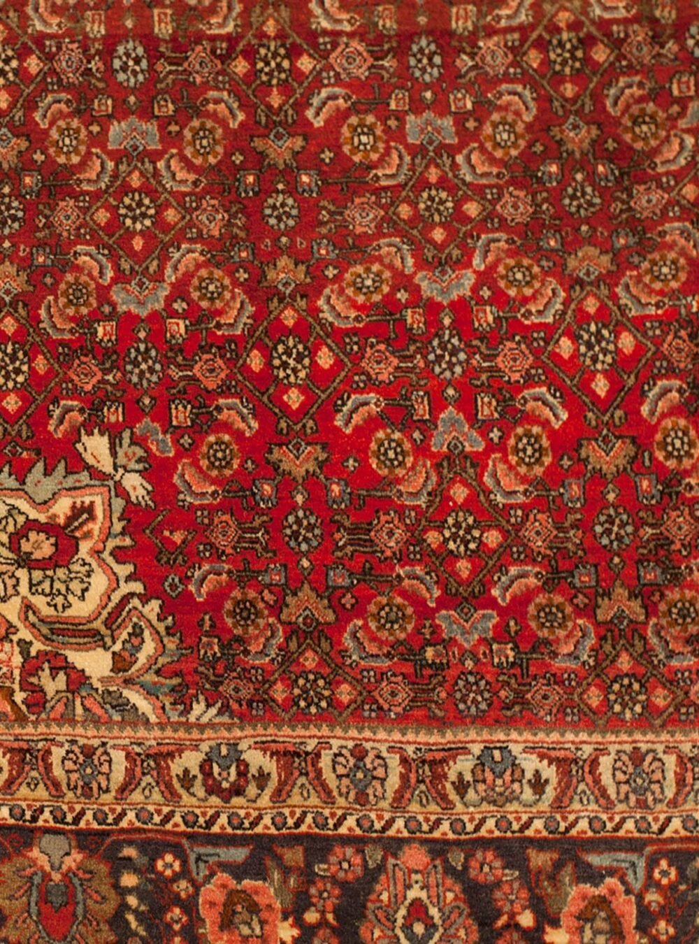 mehdi-11516-Corner.jpg mehdi-11516-Corner.jpg
