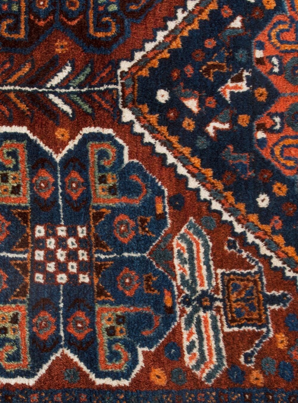 mehdi-12377-Close-Upx2500.jpg mehdi-12377-Close-Upx2500.jpg