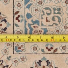 mehdi-12378-Back.jpg
