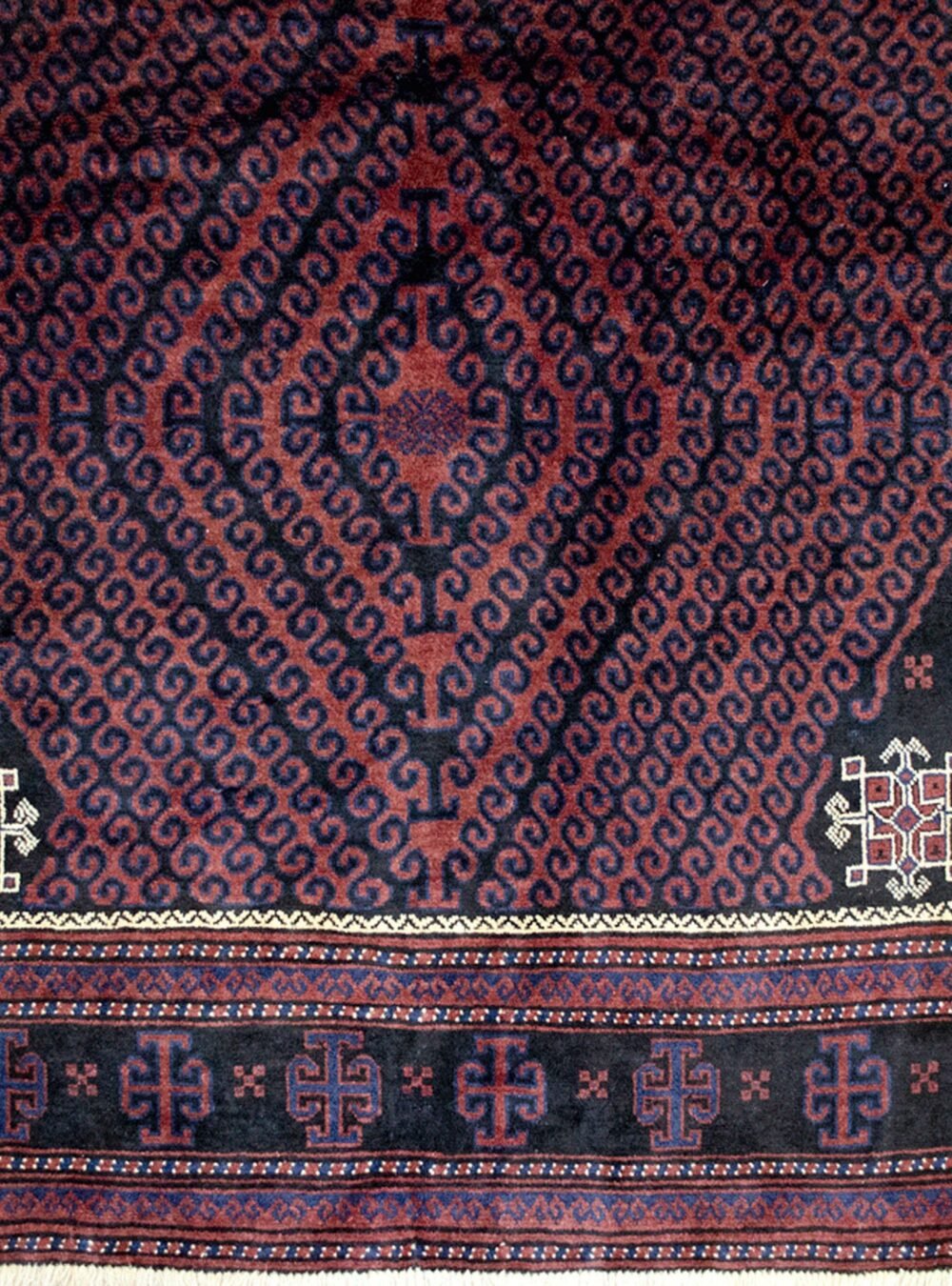 mehdi-12750-Close-Up.jpg mehdi-12750-Close-Up.jpg
