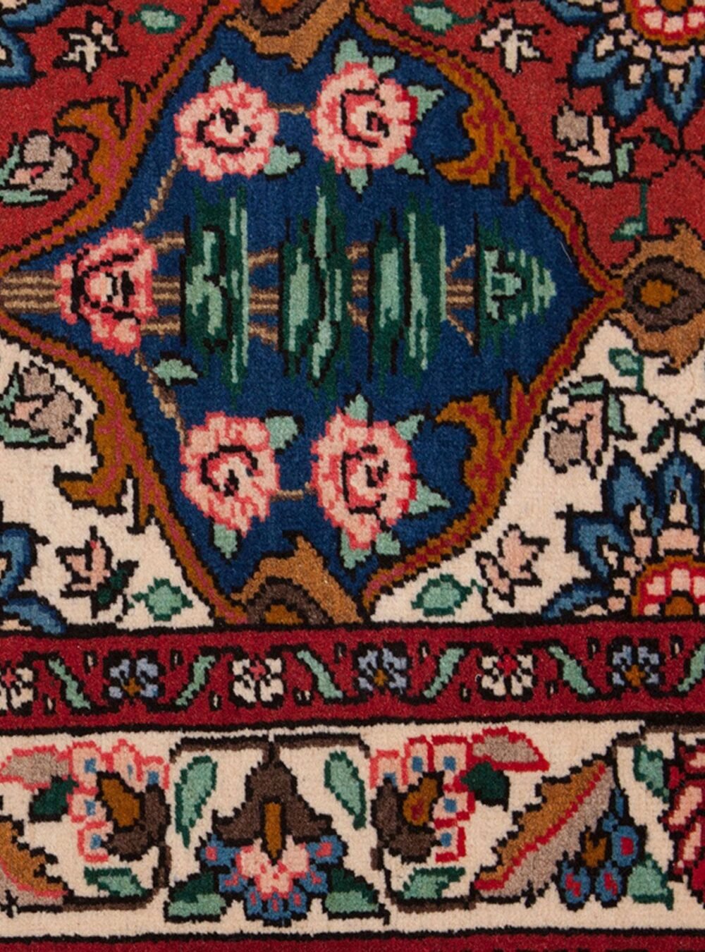 mehdi-9725-Close-Up.jpg mehdi-9725-Close-Up.jpg
