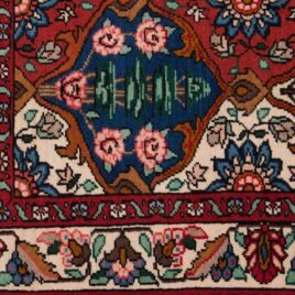 mehdi-9725-Close-Up.jpg