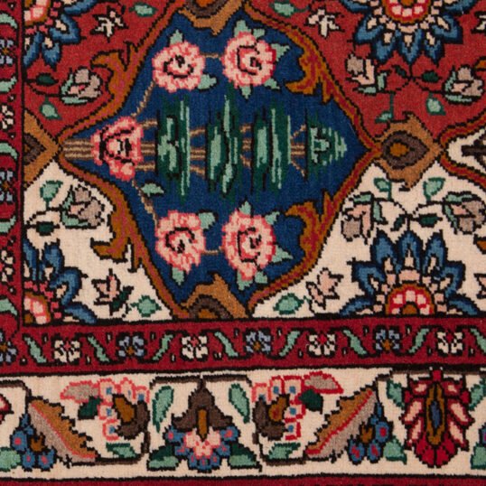 mehdi-9725-Close-Up.jpg