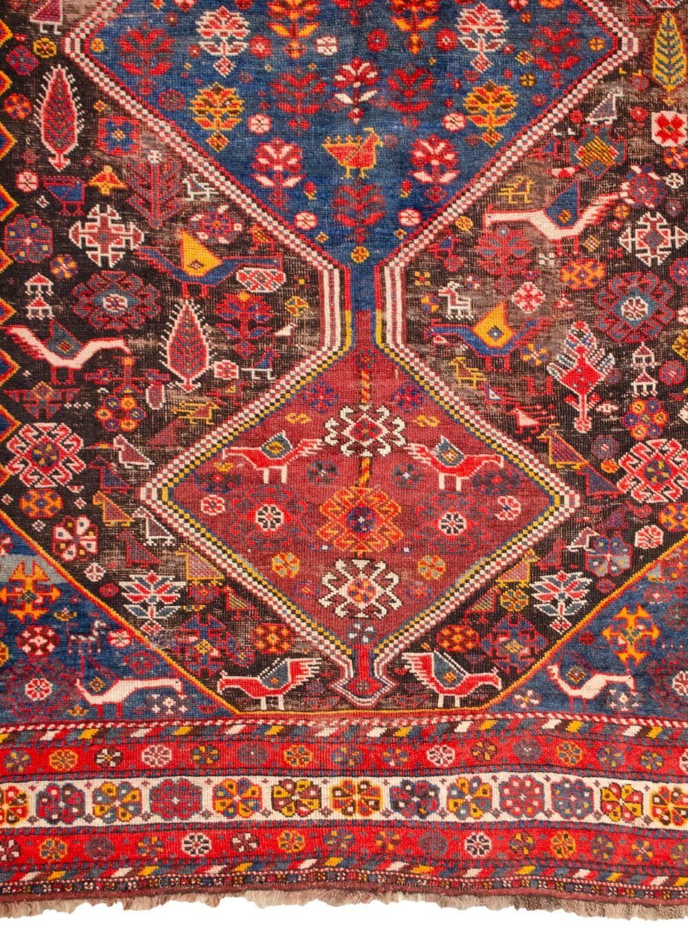 M333-Close-up2 M333-Close-up2