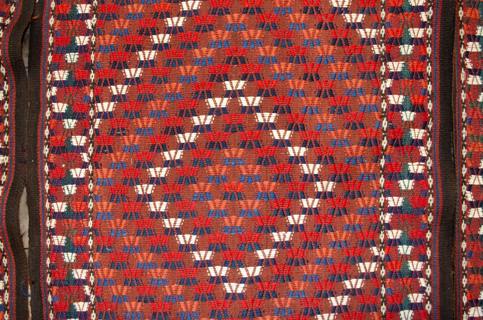 2618-Close-Up 2618-Close-Up