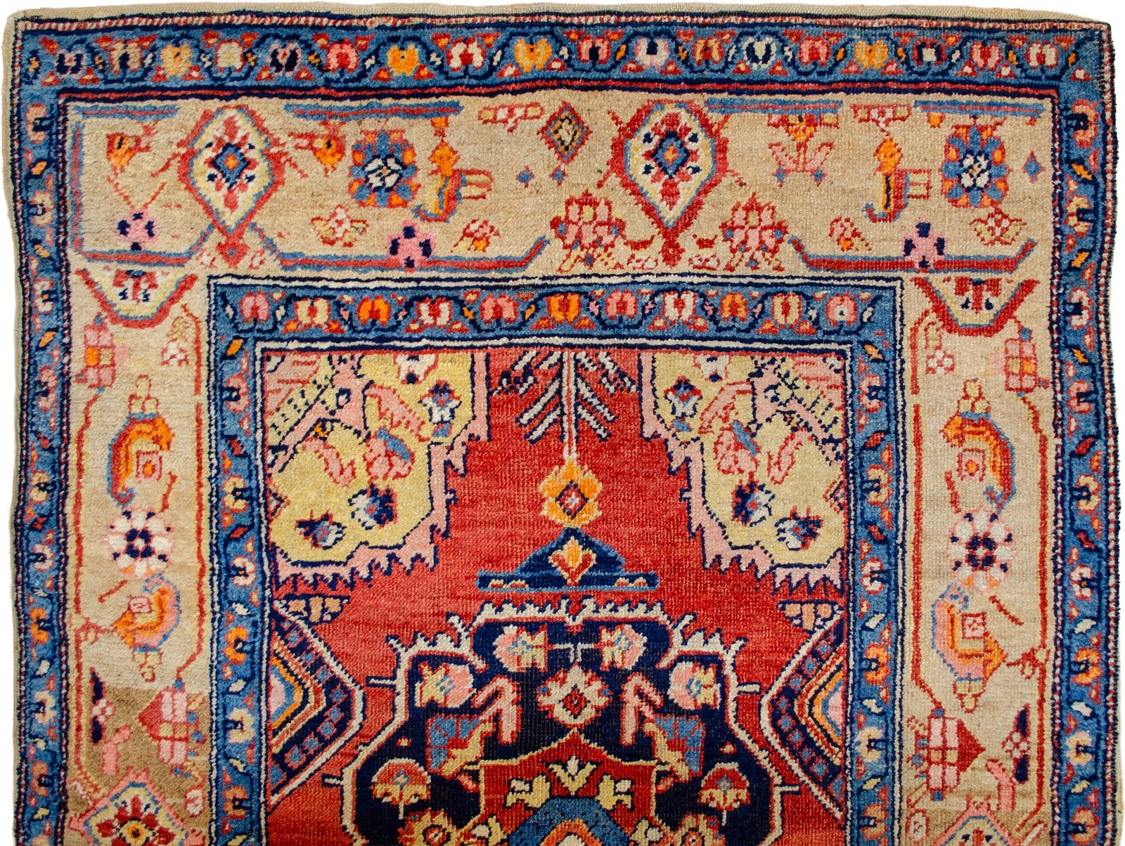 H362-Close-up H362-Close-up