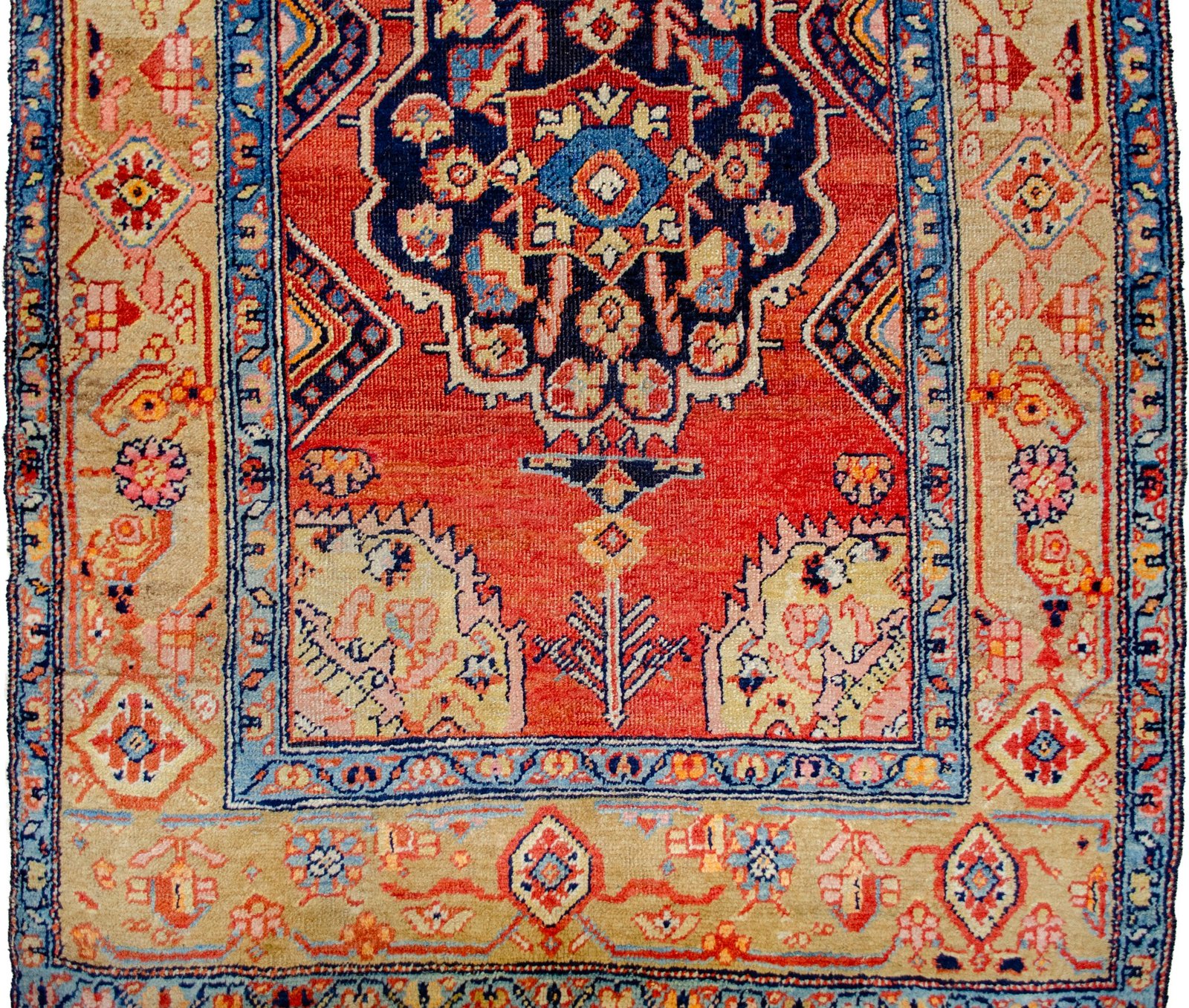 H362-Close-up1 H362-Close-up1