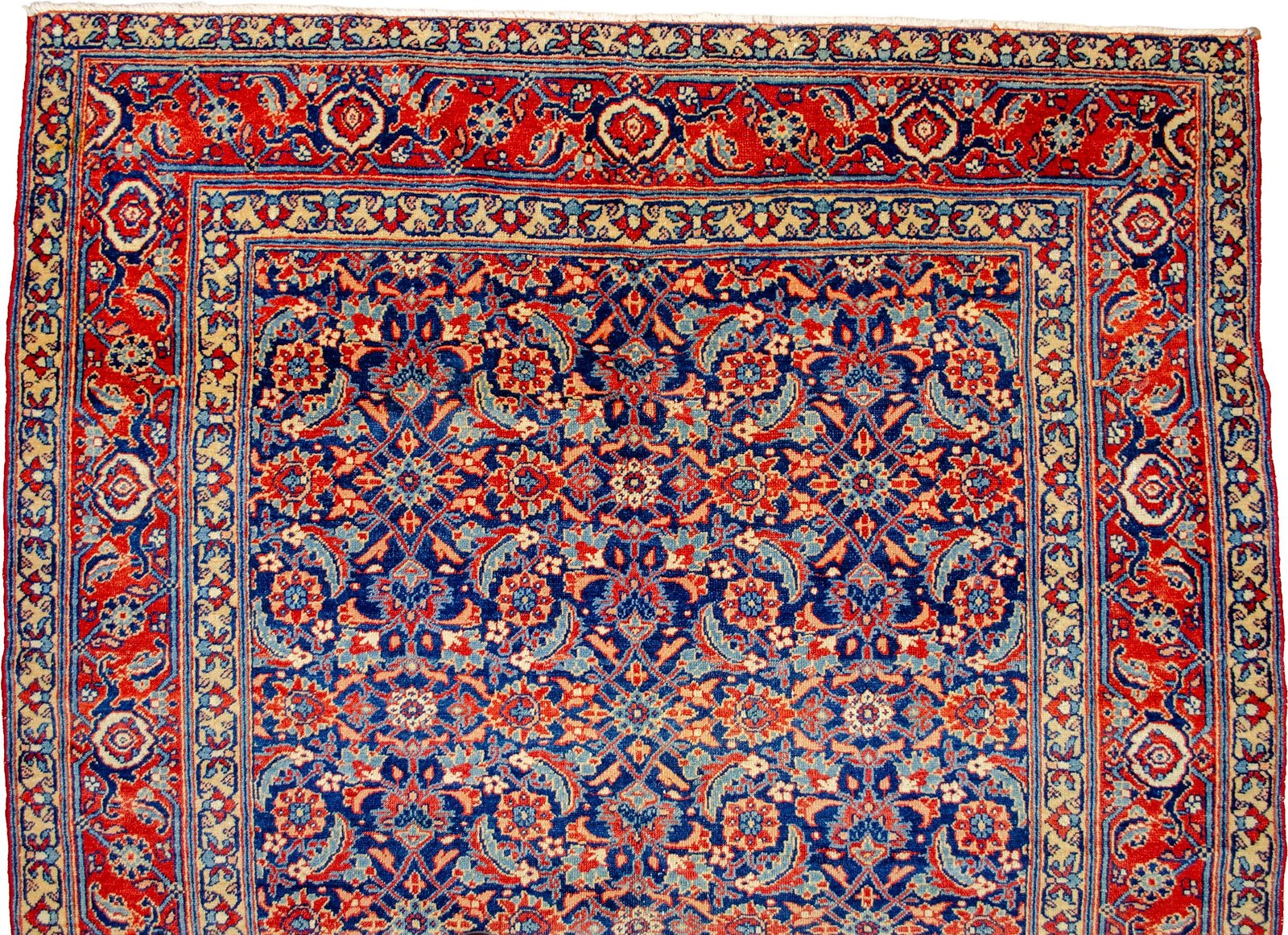 H363-Close-up H363-Close-up