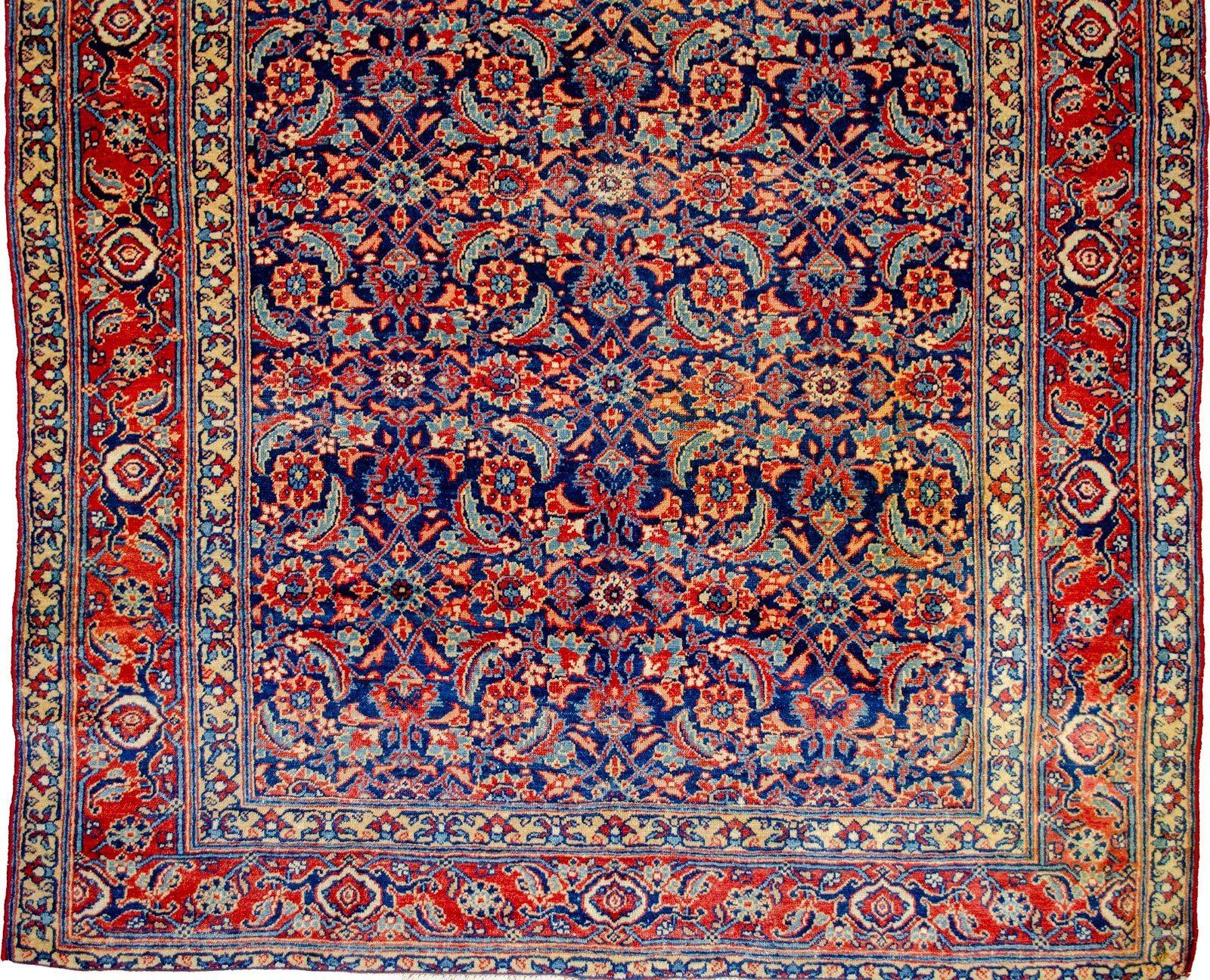 H363-Close-up1 H363-Close-up1