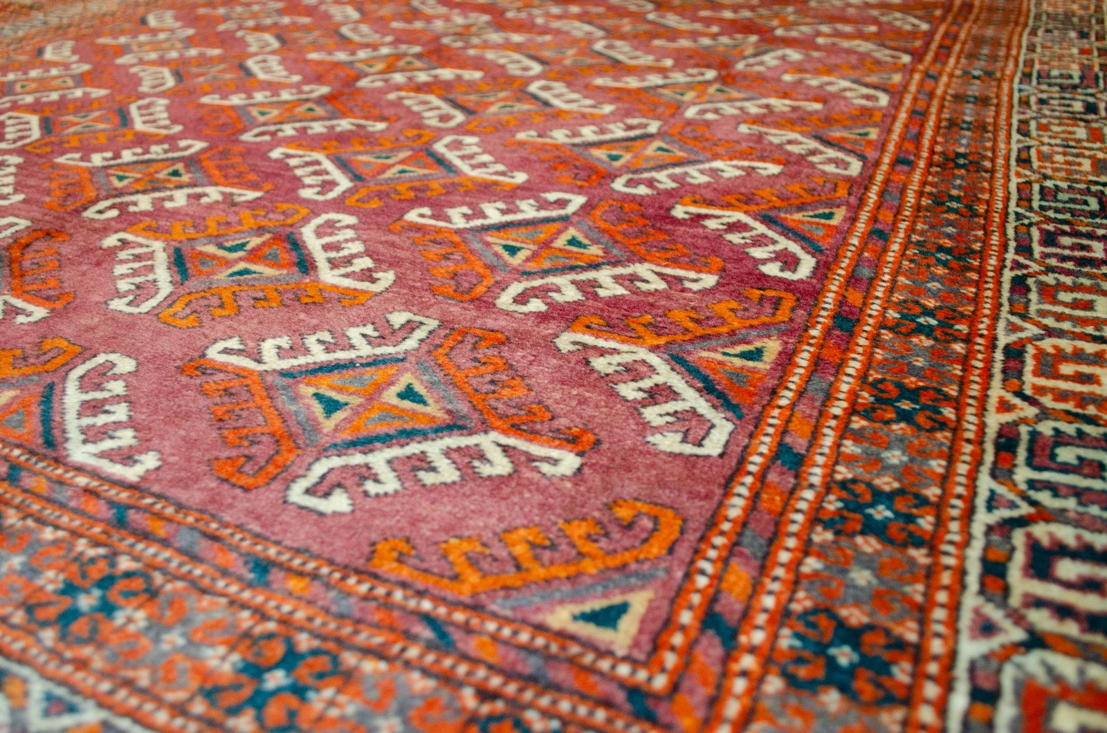 H365-Angle H365-Angle