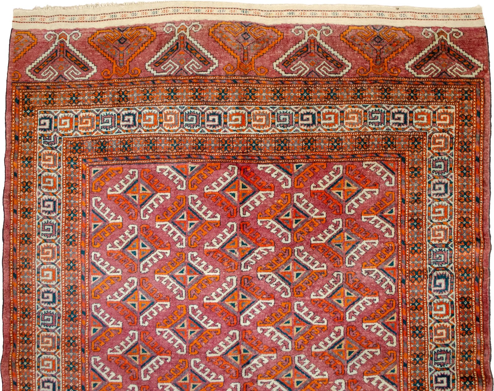 H365-Close-up H365-Close-up