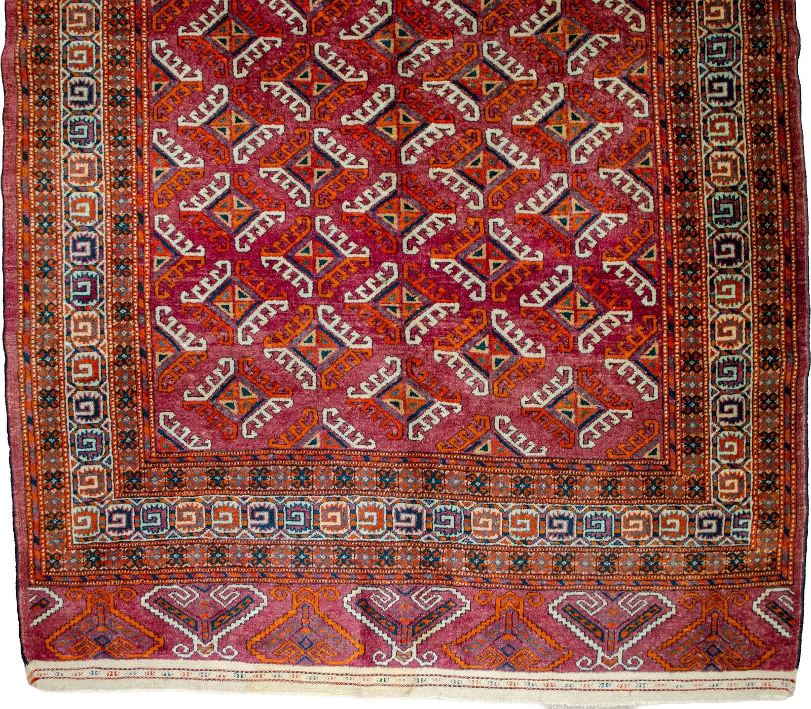 H365-Close-up1 H365-Close-up1