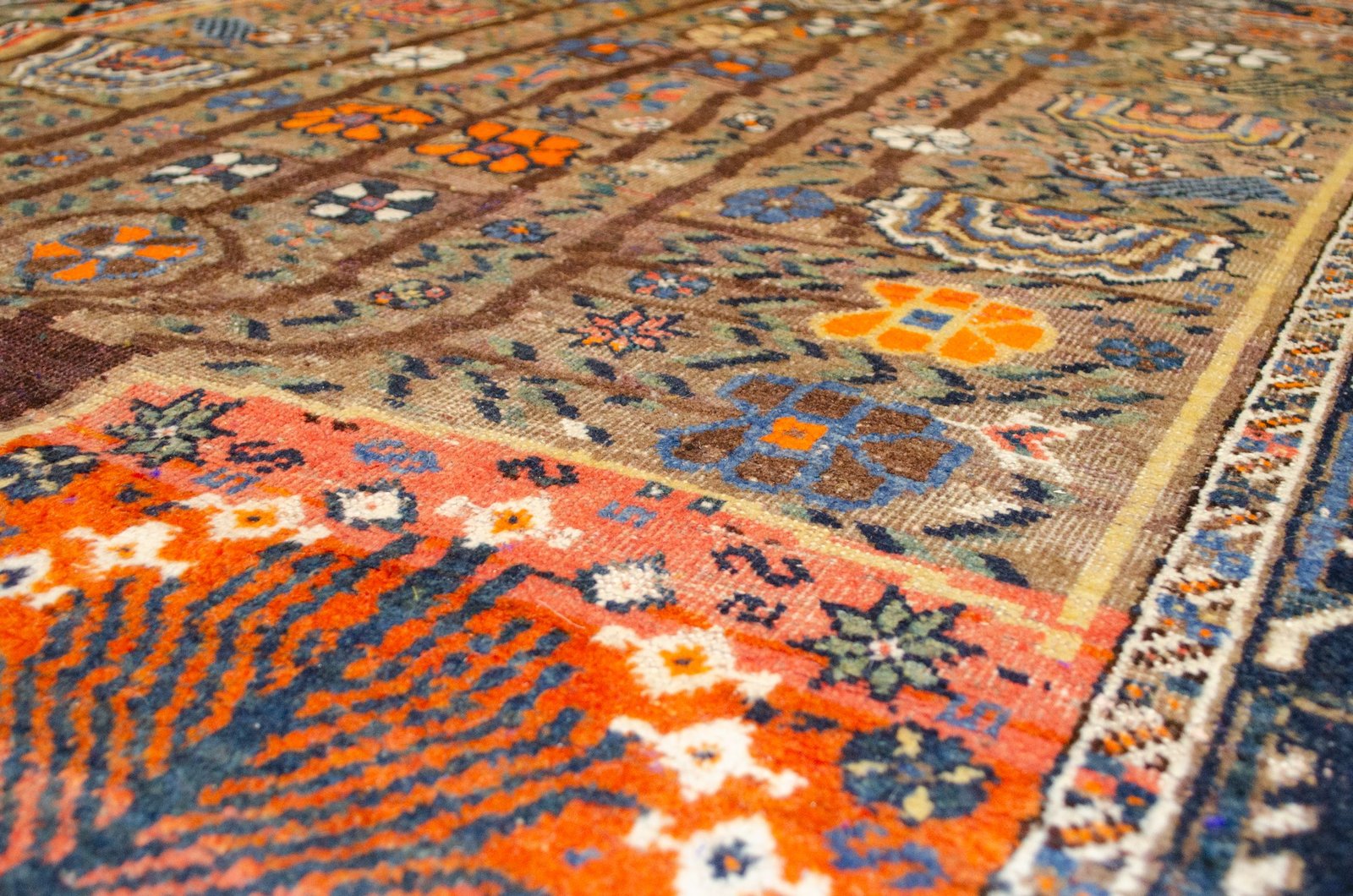 H366-Angle H366-Angle