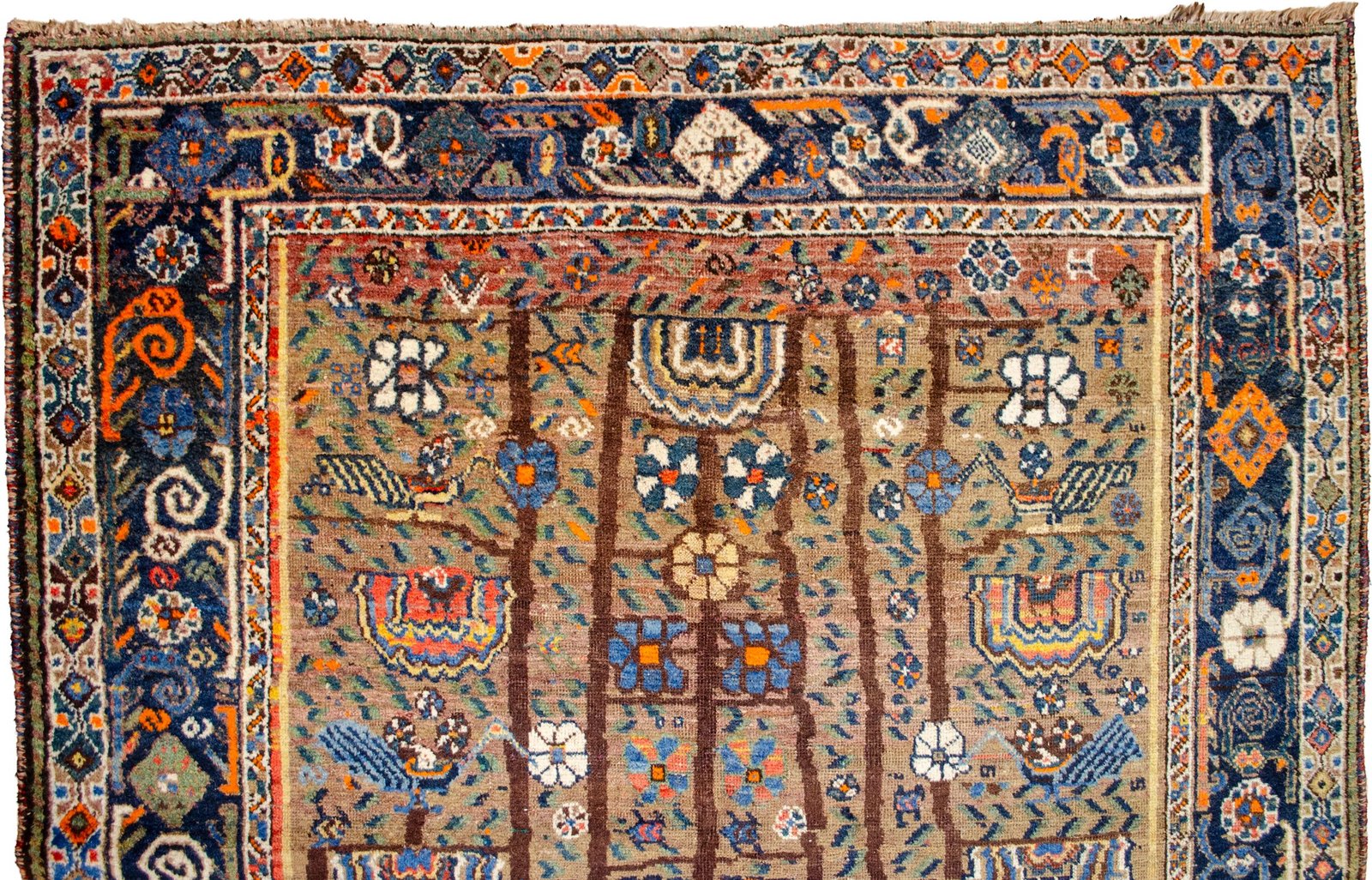 H366-Close-up H366-Close-up