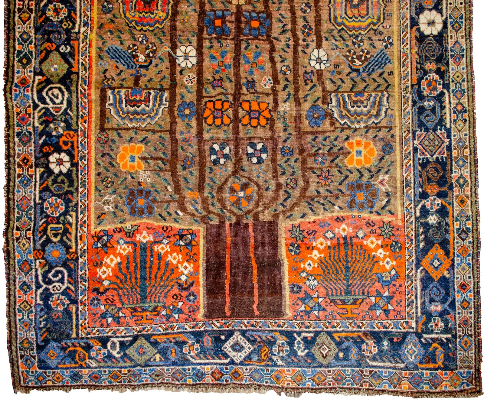 H366-Close-up1 H366-Close-up1