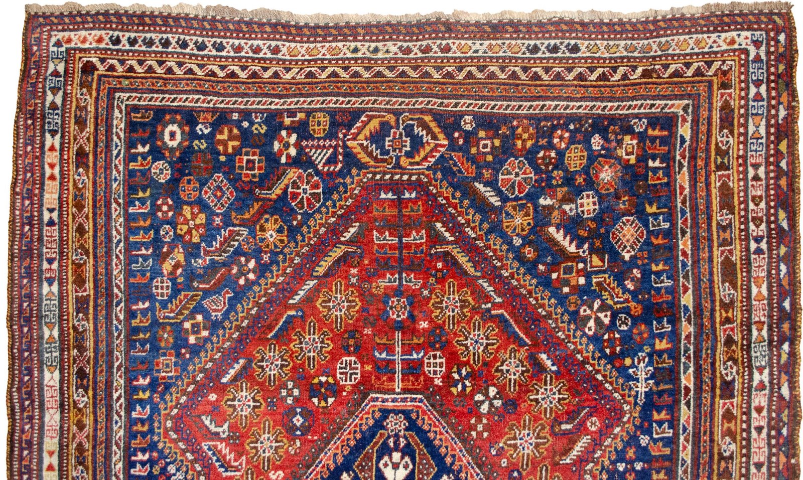 H367-Close-up H367-Close-up