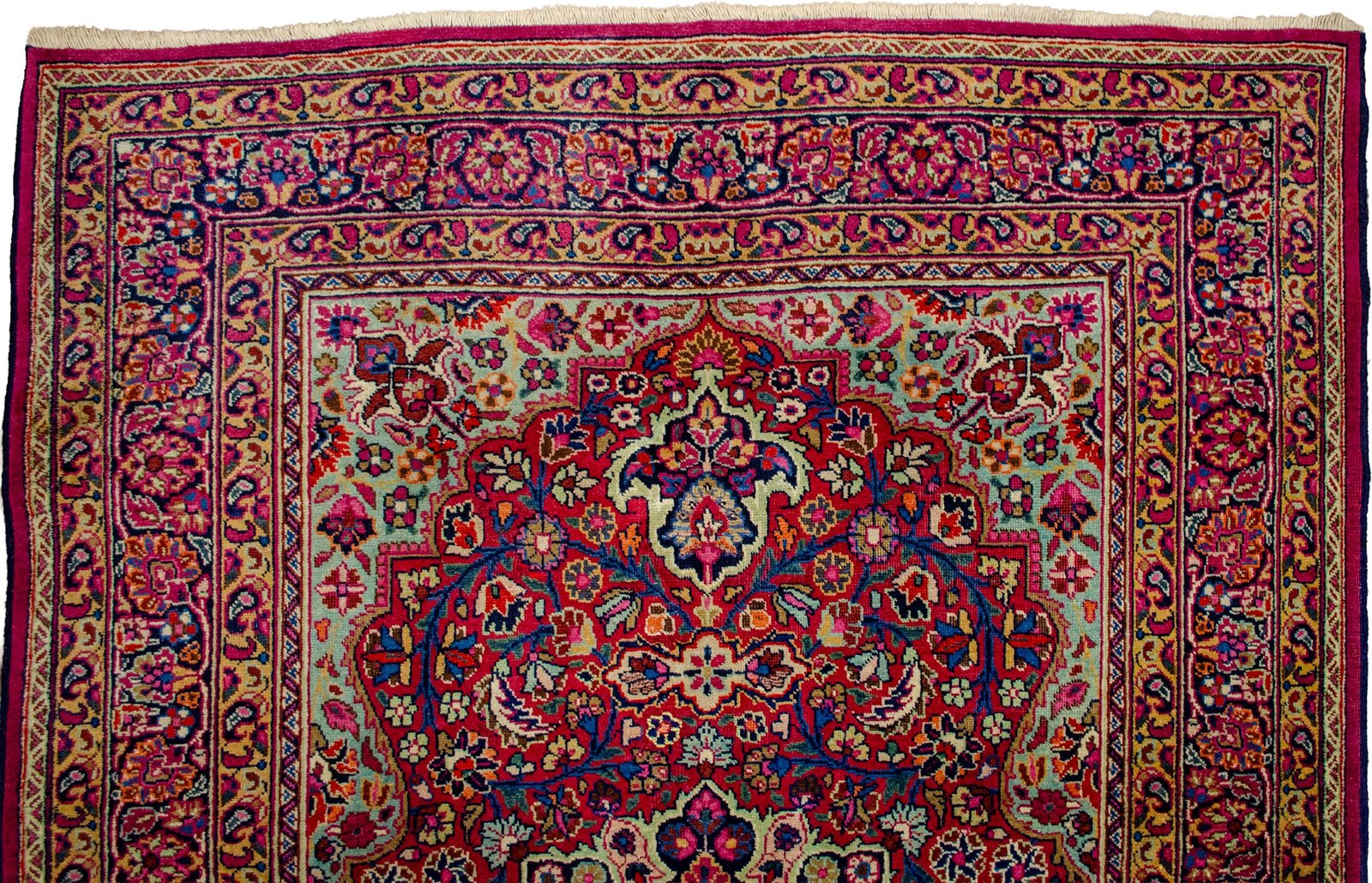 H369-Close-up H369-Close-up