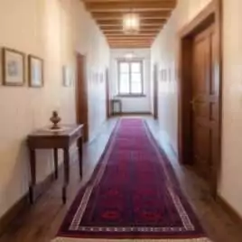 antique-turkish-hallway-rug-snowflake-design.jpg