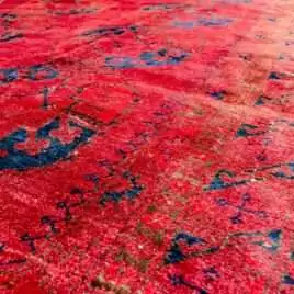 three-row-elephant-foot-tribal-rug-minimalist.jpg