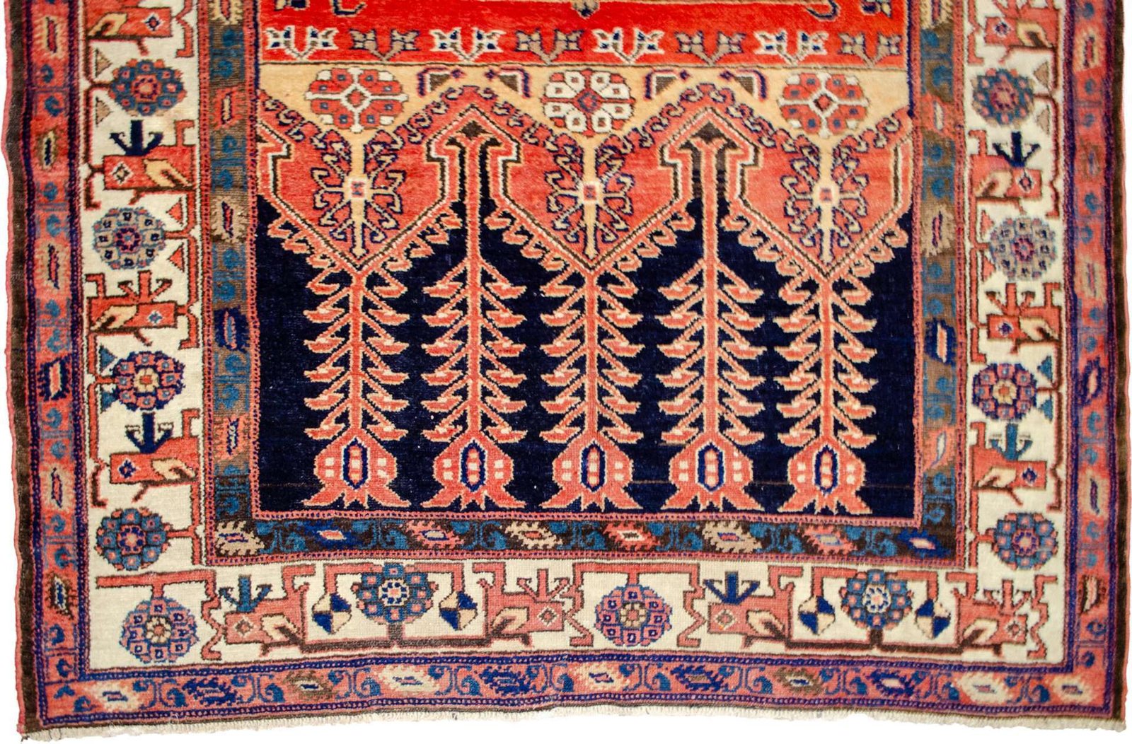 H379-Close-up2 tulip-motifs-kolyai-rug-detail.jpg